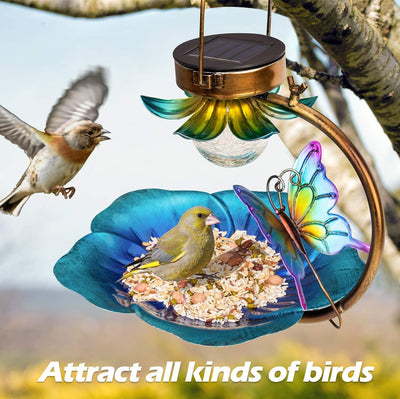 Solar Crack Ball Bird Feeder