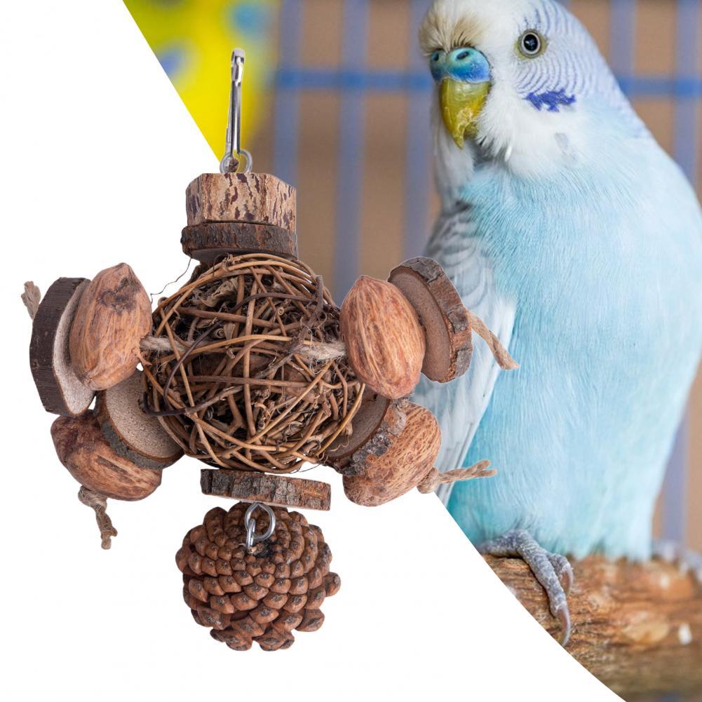 Fruit Wood Parrot Toy Bird Supplies