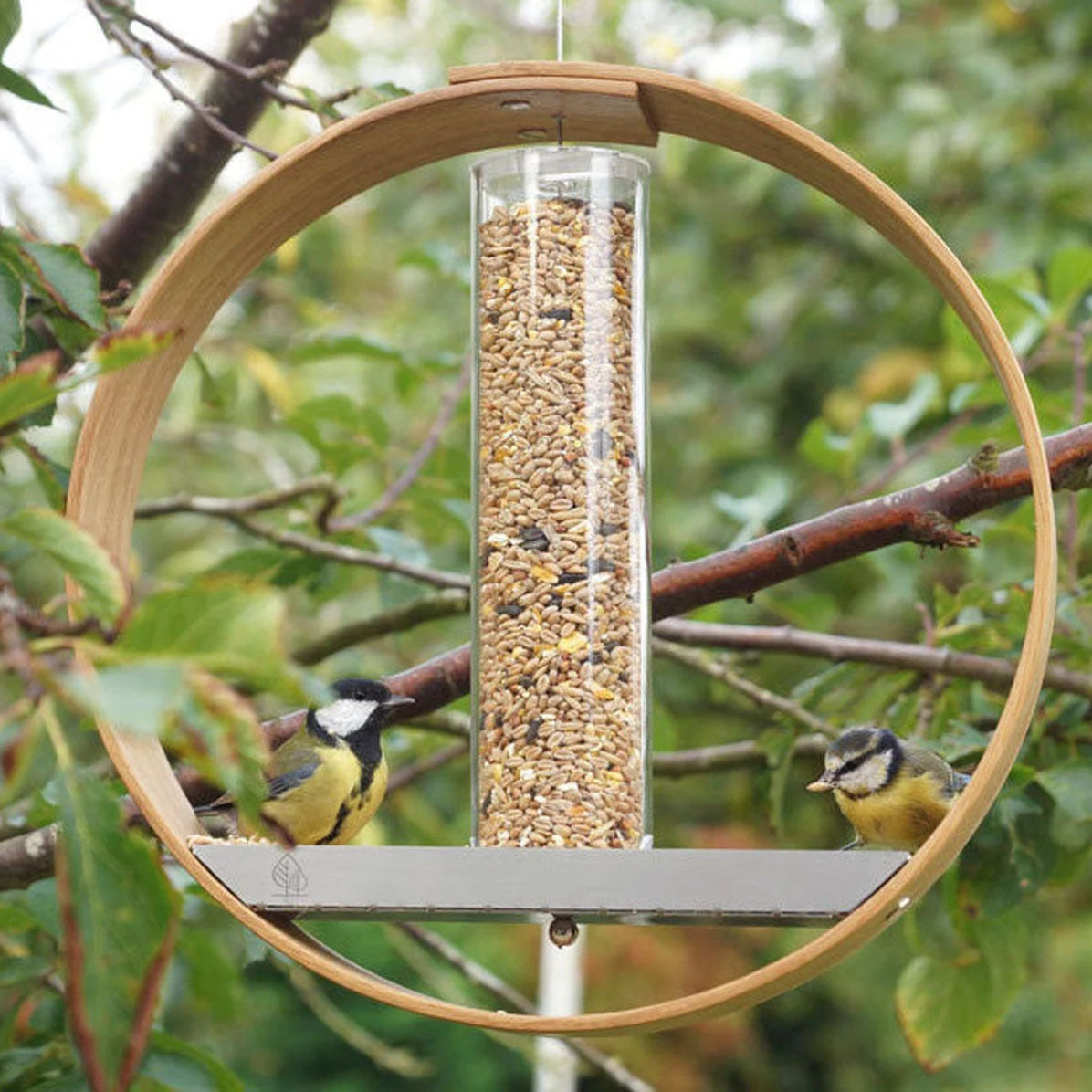 Simple Hanging Bird Feeder Birding Supplies